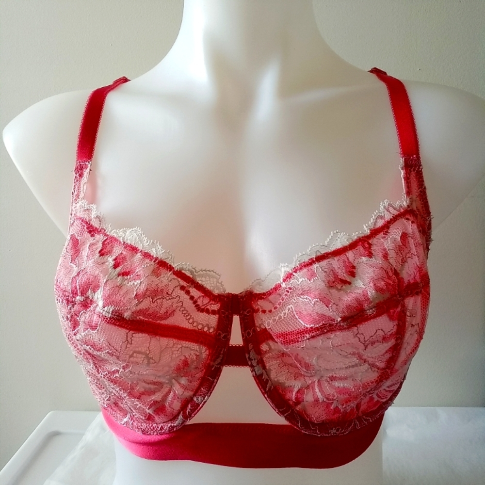 Soma Limited Edition Champagne Dreams Balconet Bra 36DDD Ivory Rouge Unlined